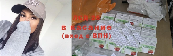 стаф Баксан