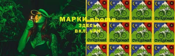стаф Баксан