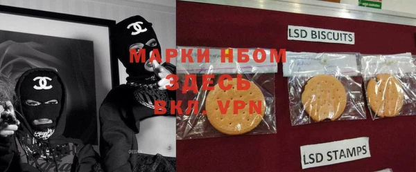 стаф Баксан
