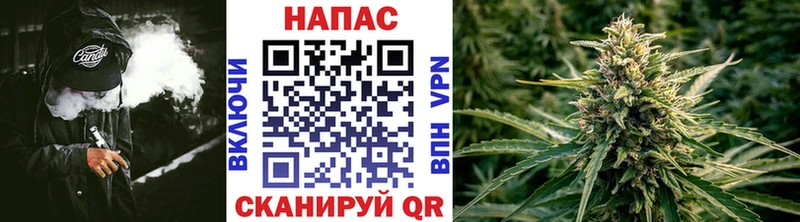 omg ССЫЛКА  как найти наркотики  Лихославль  Бошки Шишки MAZAR 